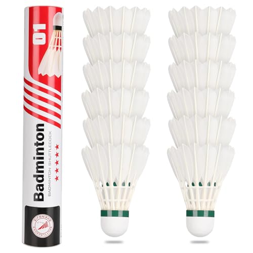 Best Badminton Shuttlecock for Indoor