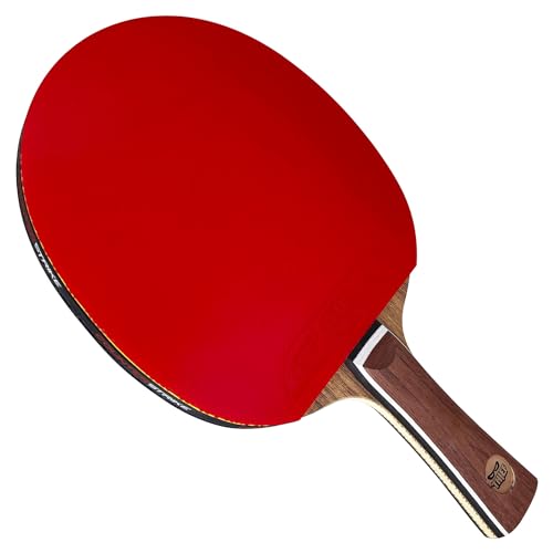 Best Ping Pong Paddle for Defensive Player