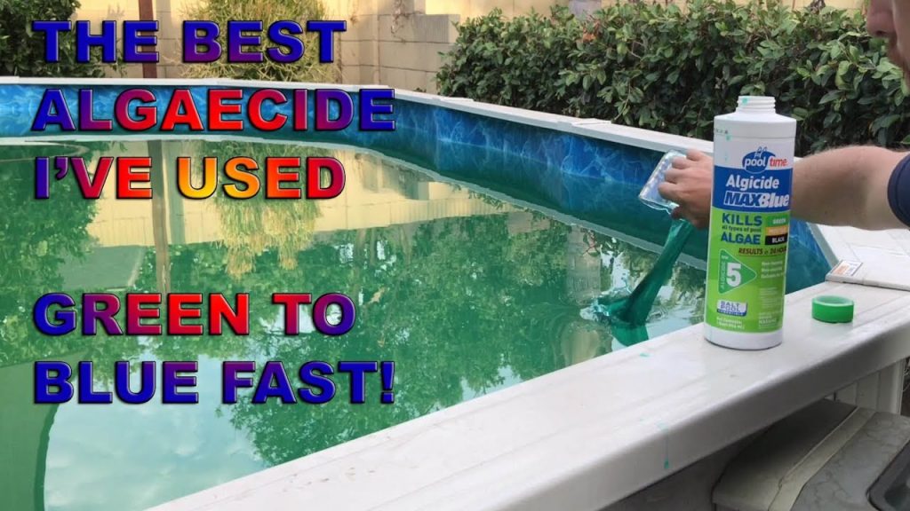 How to Clean Algae from Swimming Pool