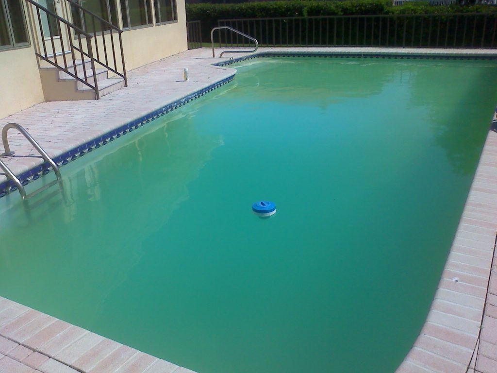 How to Clear Cloudy Swimming Pool Water