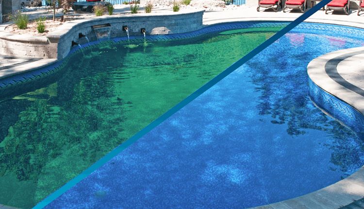 How to Get Rid of Algae in Your Swimming Pool