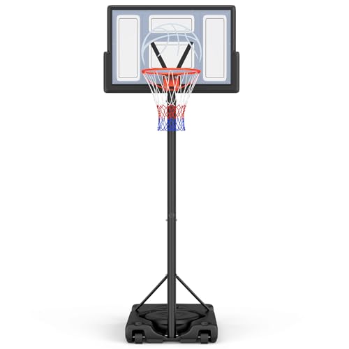 Best Basketball Hoop for Driveway