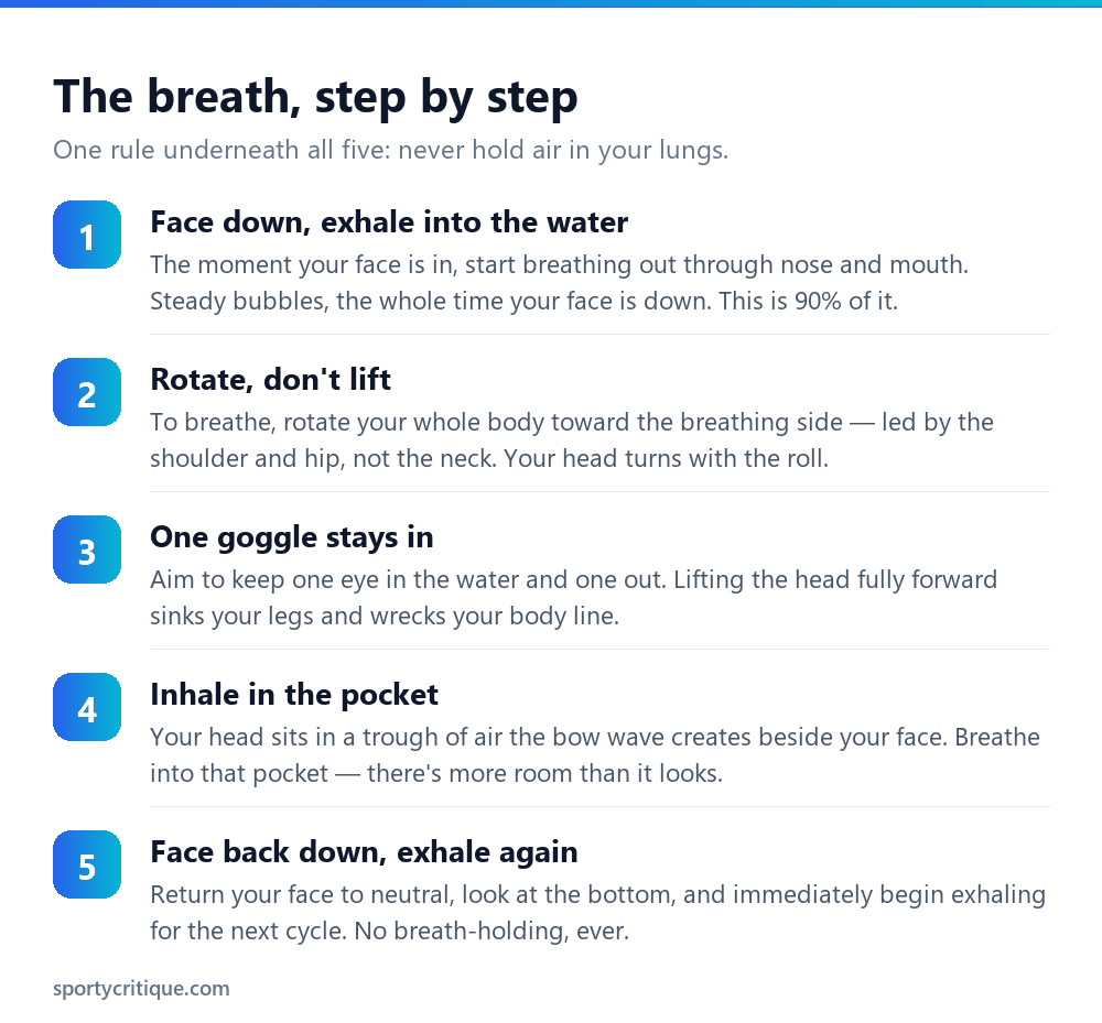 Five step freestyle swimming breathing technique from exhaling underwater to inhaling