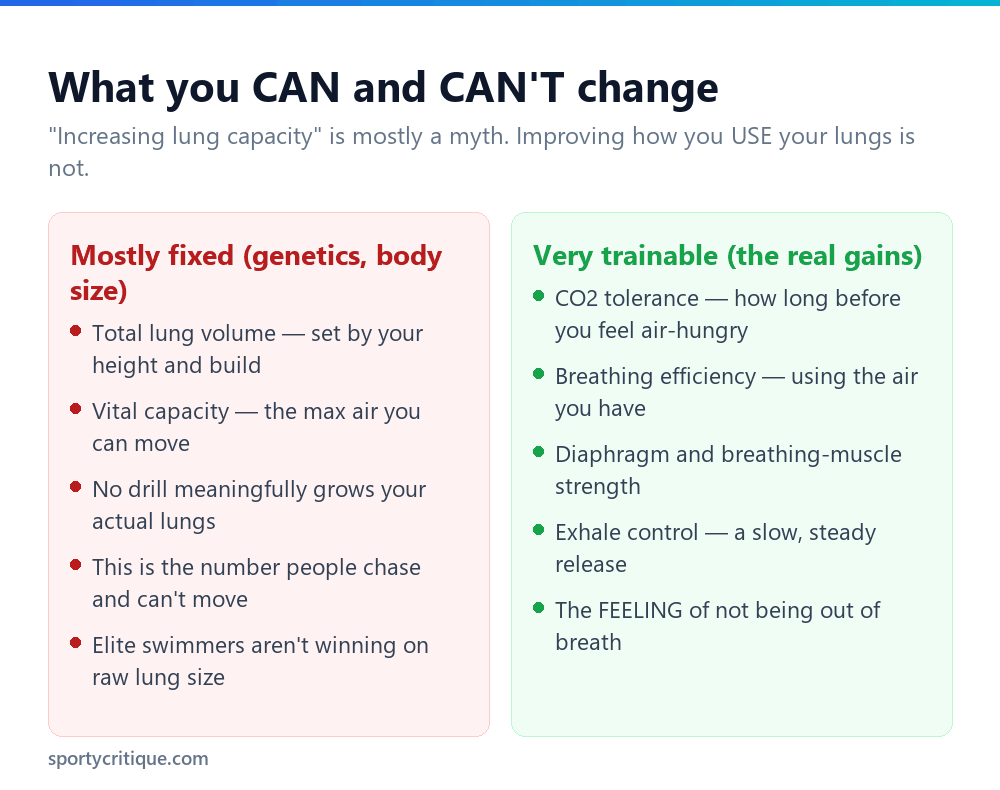 What you can and cannot change about lung capacity for swimming