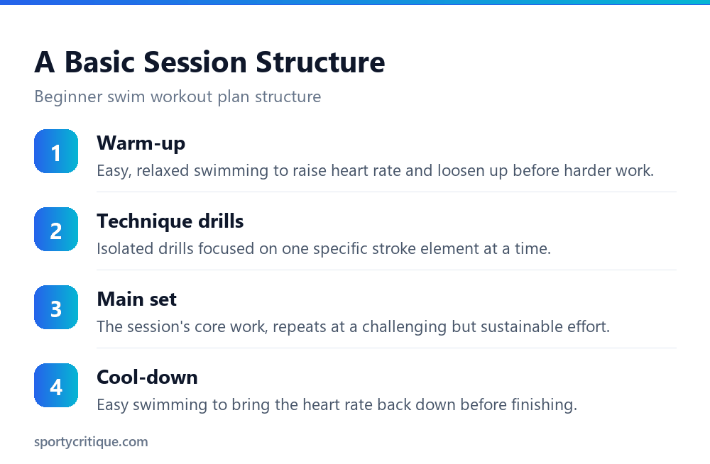The structure of a beginner swim training session