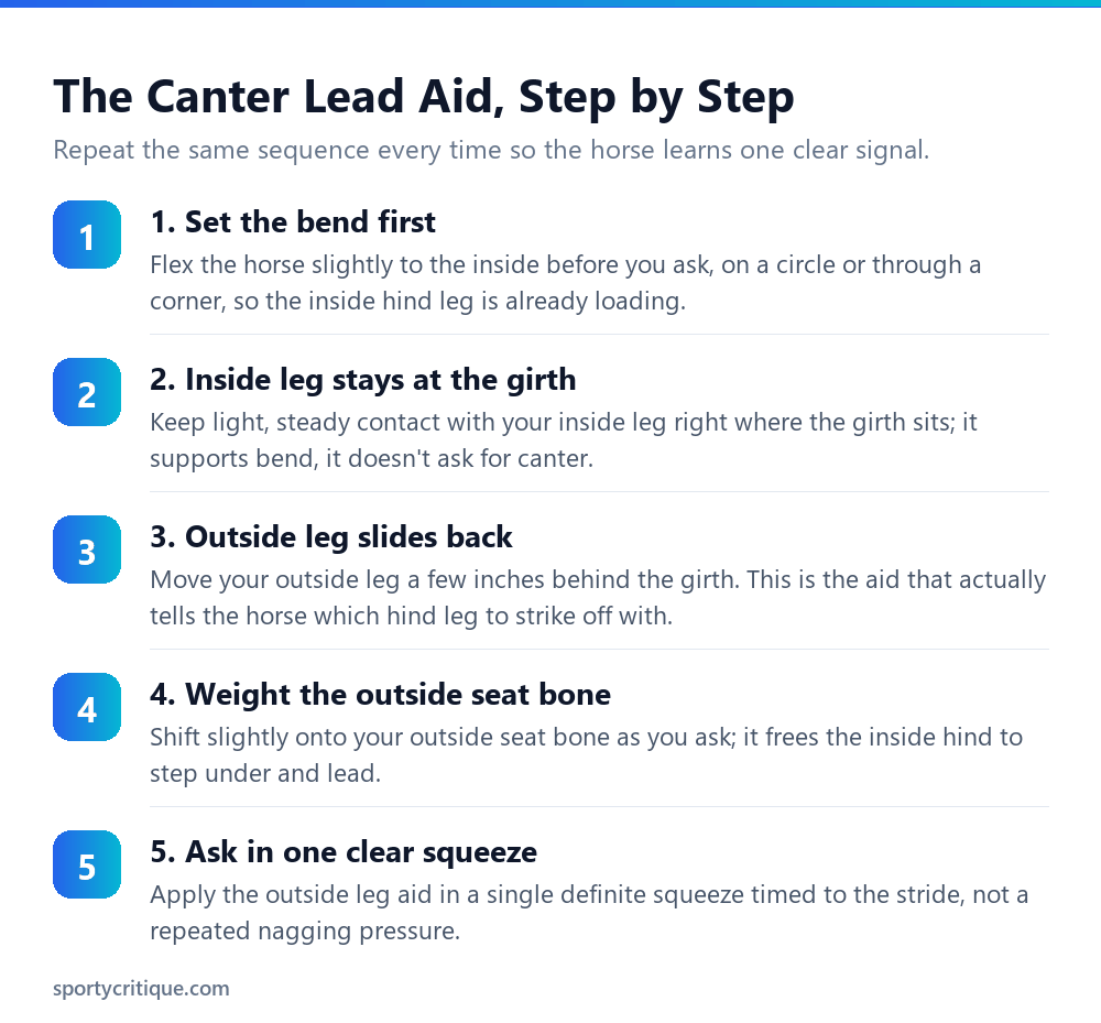 Step by step aids for asking a correct canter lead