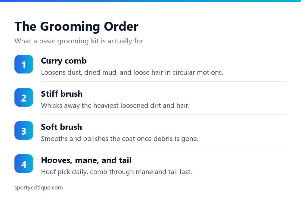 The basic horse grooming order