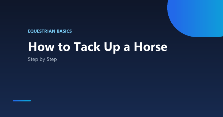 How to tack up a horse step by step
