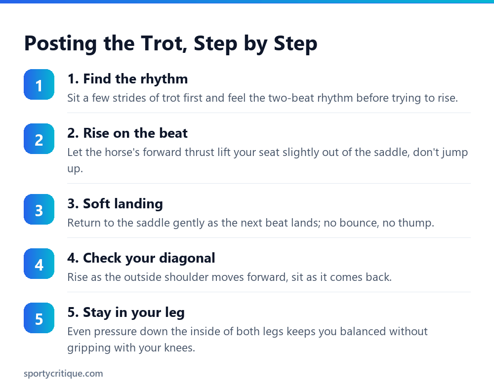 Posting the trot broken into five steps