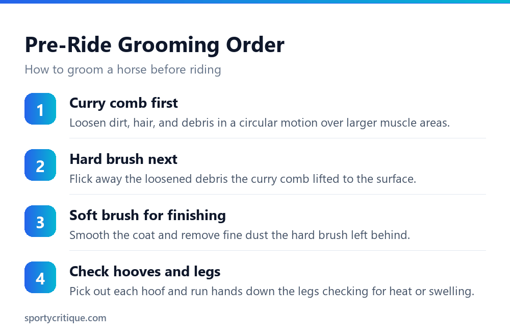 The order of grooming steps before riding a horse