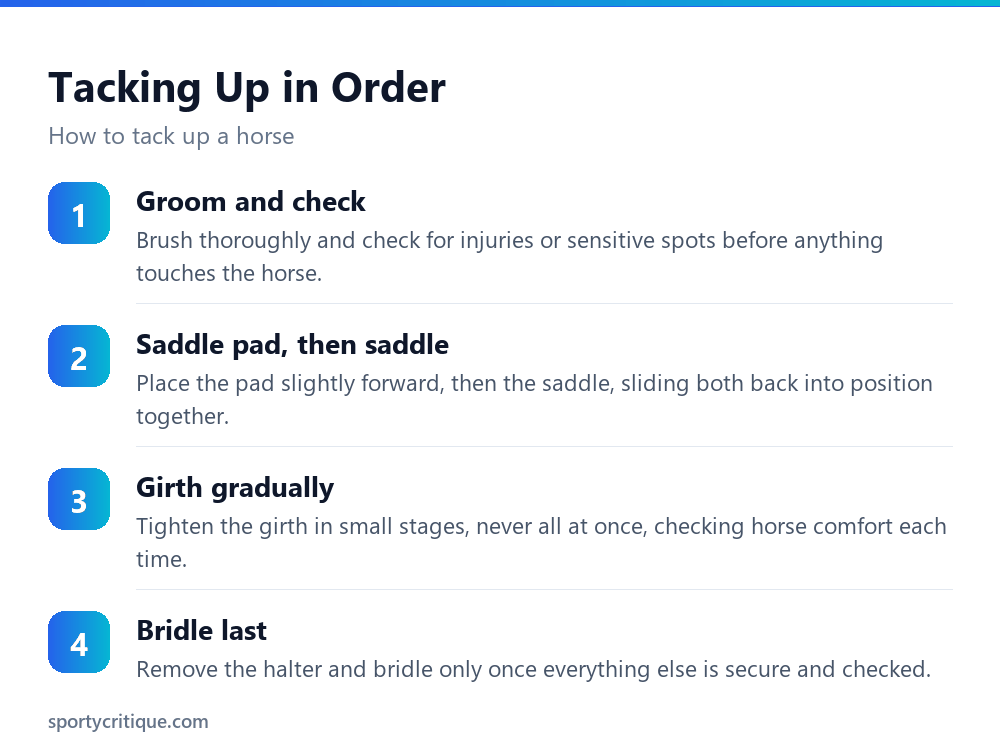 The steps to tacking up a horse in order